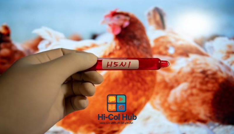 تفشي سلالة جديدة من انفلونزا الطيور H5N3 يثير القلق في الوطن العربي