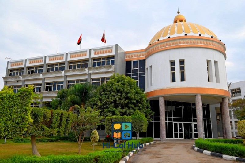 جامعة الفيوم تترشح لجائزة التميز الداخلي بمشاركة 18 كلية