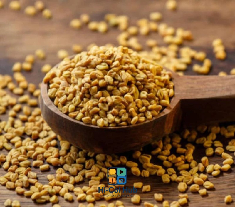 الحلبة وأهم الفوائد والاستخدامات لمرضى السكر والسمنة