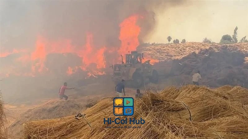 وزارة البيئة تشكل لجنة للتحقيق في حرائق منطقة زهراء المعادي وتوجيهات للحد من المخاطر الصحية والبيئية